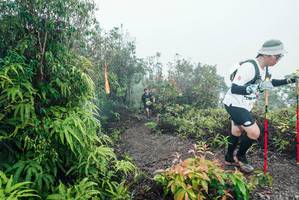 BIB: 
                            <button type="button" onclick="openModal(26272597)" class="btn btn-primary btn-sm float-right btn-popup" data-toggle="modal" data-target=".modal-high-quality">
                        <i class="fas fa-shopping-cart"></i> Add to Cart
                    </button>
                                            <button type="button" onclick="isThisMe(26272597, true)" class="btn btn-success btn-sm float-right btn-popup btn-isme hidden" data-toggle="tooltip" data-placement="bottom" title="นี่คือรูปของคุณใช่ไหม คลิกที่นี่เพื่อเอาเข้าอัลบั้ม">
                        <i class="fas fa-plus"></i> Add to album
                    </button>
                    <button type="button" onclick="isThisMe(26272597, false)" class="btn btn-warning btn-sm float-right btn-popup btn-isnotme hidden">
                        <i class="fas fa-ban"></i> Remove from album
                    </button>